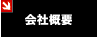 ЊTv